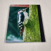 great spotted woodpecker journal a4 hardback lined notebook back cover view