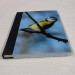 bluetit pocket journal, hardback a5 lined notebook front cover deep angle view