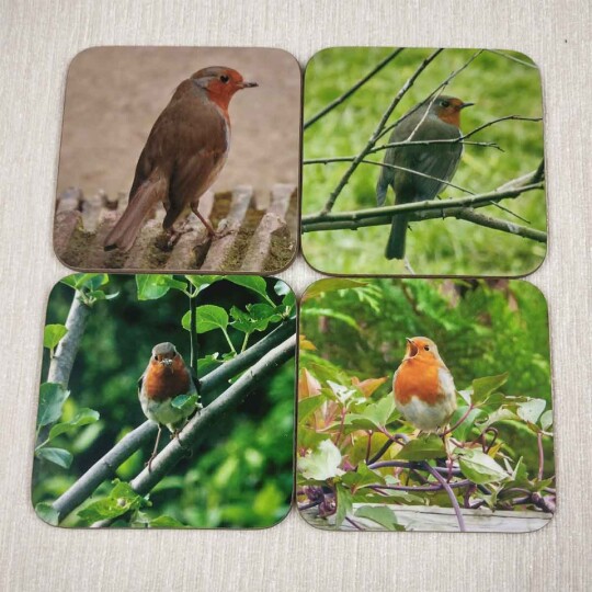 robins, set of four square coasters close view 