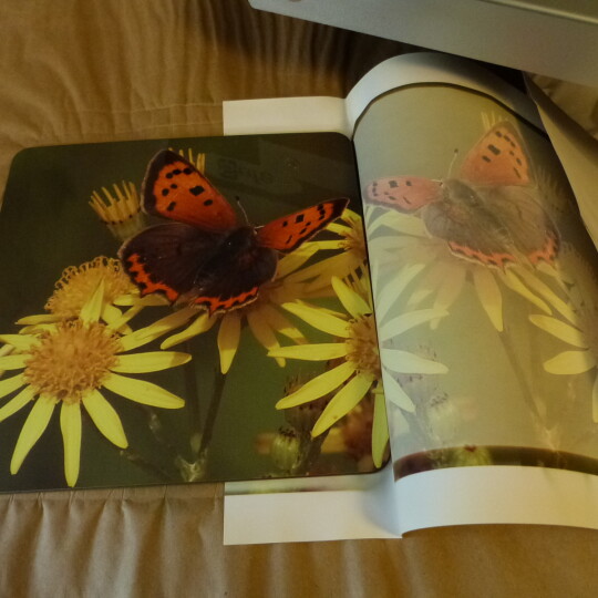 3.1 PRINTING FOR YOU