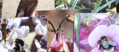 NEWS IMAGE New Dining art