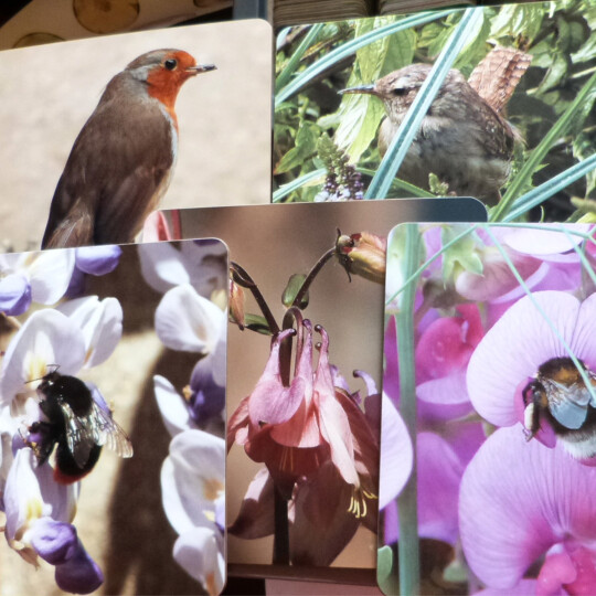 NEWS IMAGE New Dining art