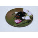 Buff tail bumblebee round coaster, queen on apple blossom image, angle view