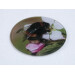 Buff tail bumblebee round glass coaster, queen on apple blossom image, tilt view