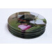 Four buff tail bumblebee round glass coasters, queen on apple blossom,side view