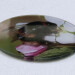 Buff tail bumblebee round glass coaster, quuen on apple blossom, side view