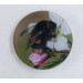 Buff tail bumblebee round glass coaster, quuen on apple blossom