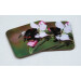 Two buff tail bumblebee square coasters, queen on apple blossom, tilt angle
