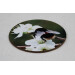 Buff tail bumblebee round coaster, queen on wild plum blossom, angle view