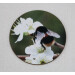 Buff tail bumblebee round coaster, queen on wild plum blossom
