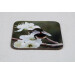 Buff tail bumblebee square coaster, queen on wild plum blossom, angle view
