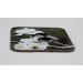 Buff tail bumblebee square coaster, queen on wild plum blossom, deep angle view