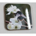 Buff tail bumblebee square coaster, queen on wild plum blossom, angle surface view