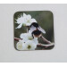 Buff tail bumblebee square coaster, queen on wild plum blossom