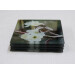 Four buff tail bumblebee square coasters, queen on wild plum blossom, side view