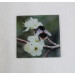 Buff tail bumblebee square glass coaster, queen on wild plum blossom