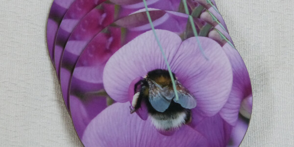 Four garden bumblebee round coasters, pink sweetpea flower, spread view