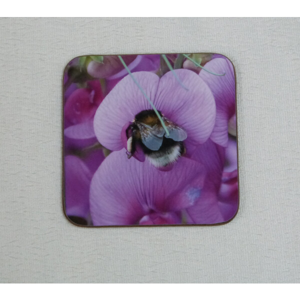 Garden bumblebee square coaster, pink sweetpea flower