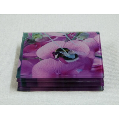 Four garden bumblebee square glass coasters, pink sweetpea flower, side view