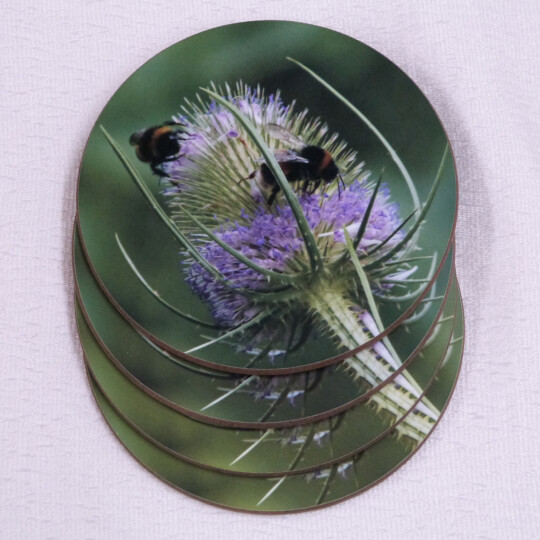 Four buff tail bumblebee round coasters, workers on lilac colour teasel flower, spread view