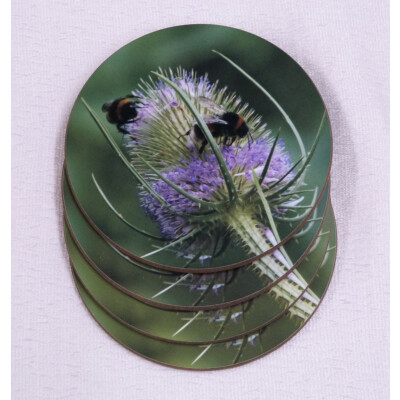 Four buff tail bumblebee round coasters, workers on lilac colour teasel flower, spread view
