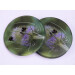 Three buff tail bumblebee round glass coasters, workers on lilac colour teasel flower, side view