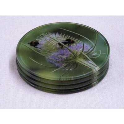 Four buff tail bumblebee round glass coasters, workers on lilac colour teasel flower, side view