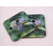 two buff tail bumblebee square coasters, workers on lilac colour teasel flower, tilt view