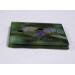 two buff tail bumblebee square glass coasters, workers on lilac colour teasel flower, side view