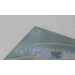 Buff tail bumblebee square glass coaster, workers on lilac colour teasel flower, foot detail
