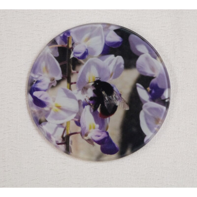 Red tail bumblebee round glass coaster, queen on white and purple wisteria flower