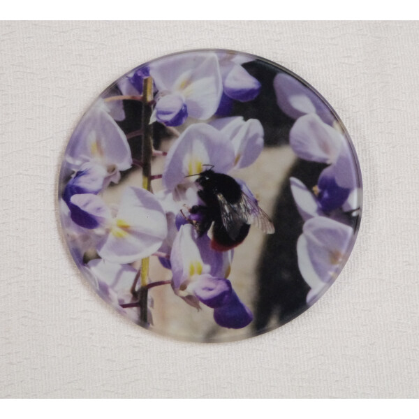 Red tail bumblebee round glass coaster, queen on white and purple wisteria flower