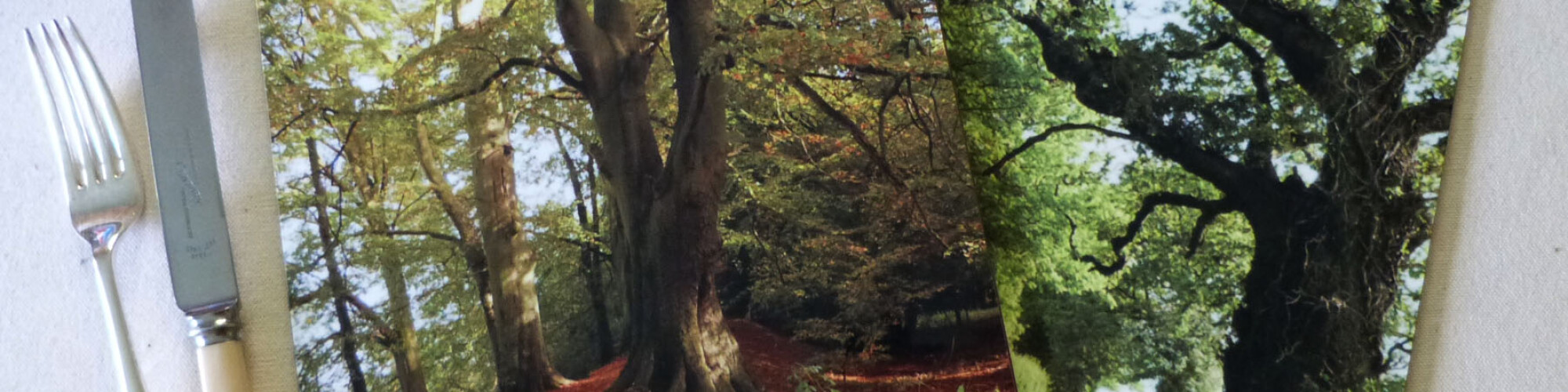 Image for Mad Hatters event