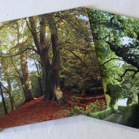 Image for Mad Hatters event